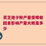 靈芝孢子粉產量受哪些因素影響產量大概是多少